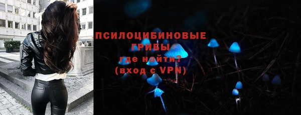 PSILOCYBIN Беломорск